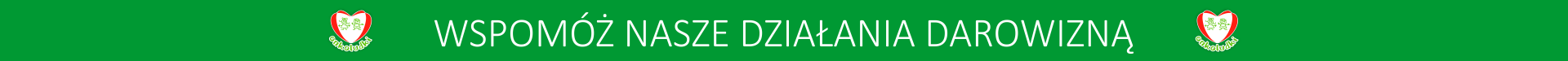 2019 darowizna